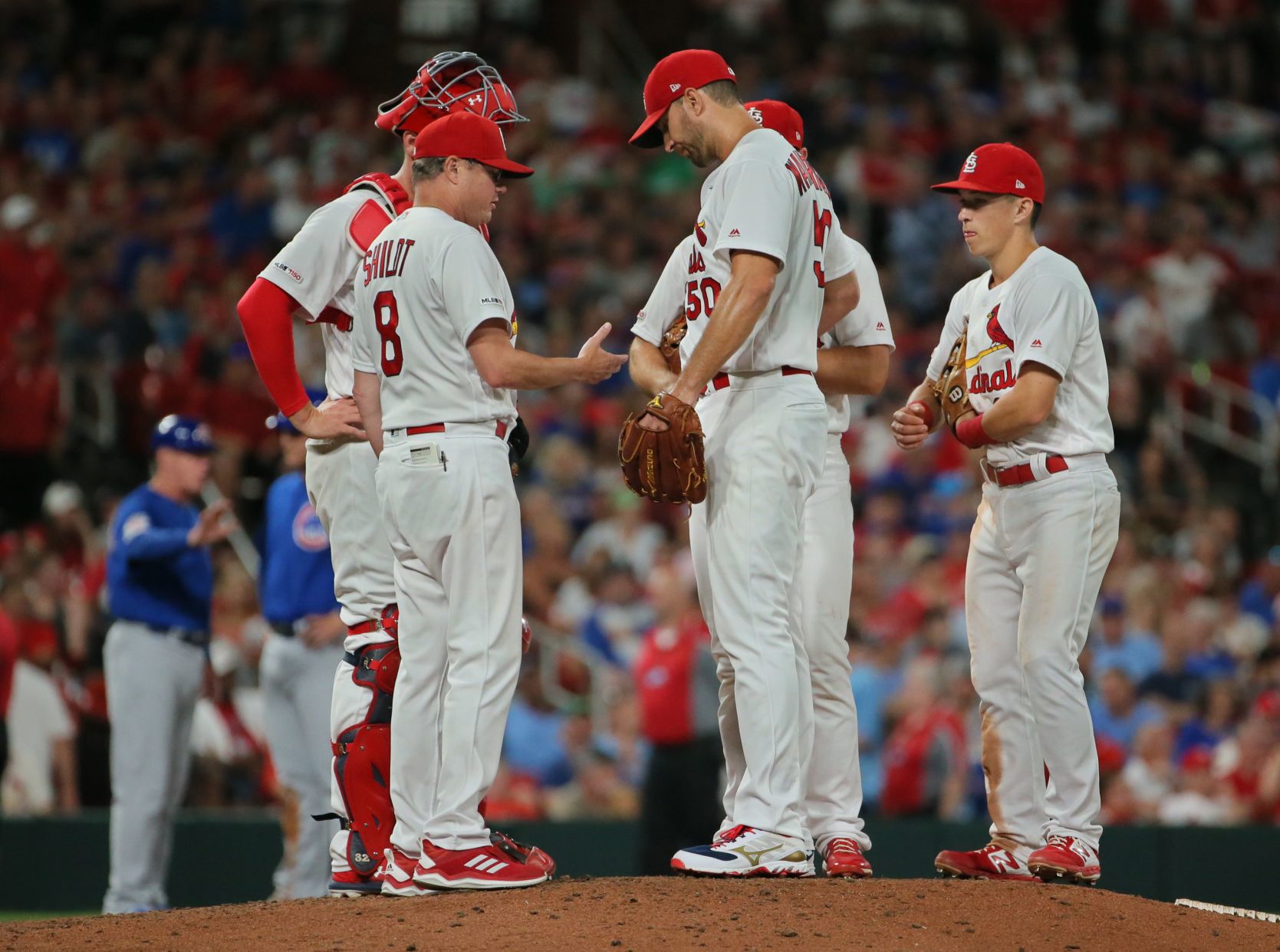 Chicago Cubs vs St. Louis Cardinals